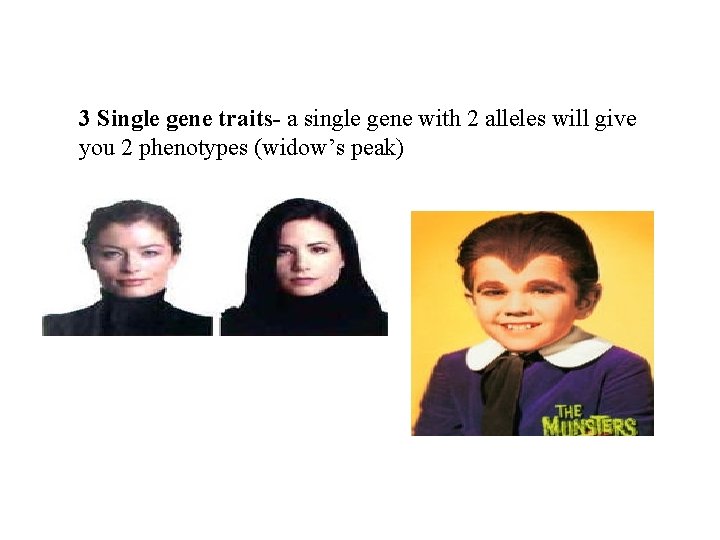 3 Single gene traits- a single gene with 2 alleles will give you 2