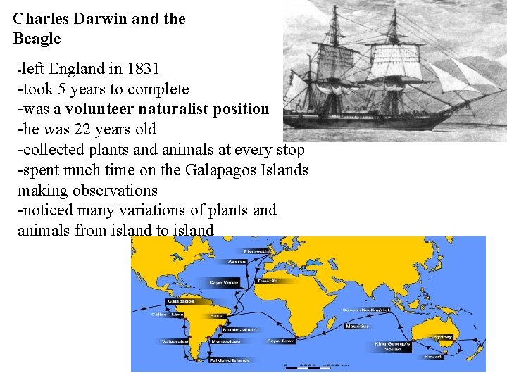 Charles Darwin and the Beagle -left England in 1831 -took 5 years to complete