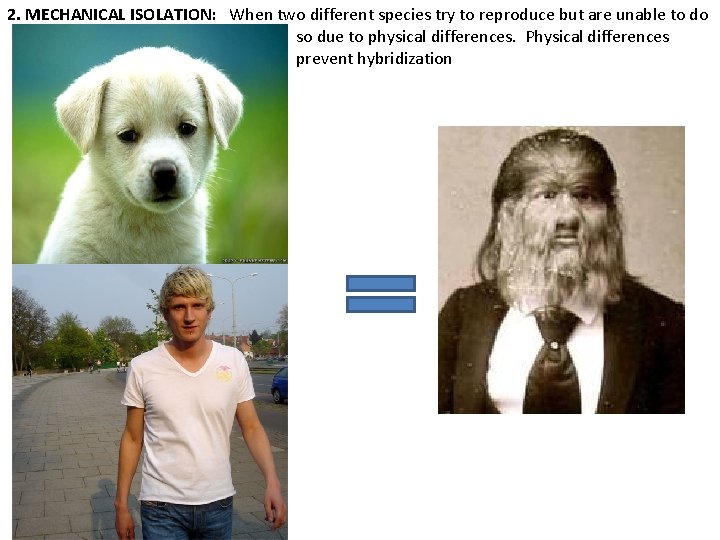 2. MECHANICAL ISOLATION: When two different species try to reproduce but are unable to