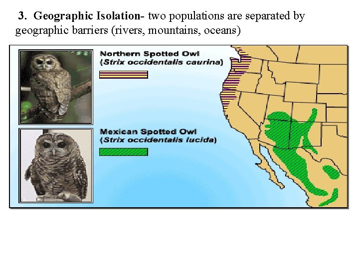 3. Geographic Isolation- two populations are separated by geographic barriers (rivers, mountains, oceans) 