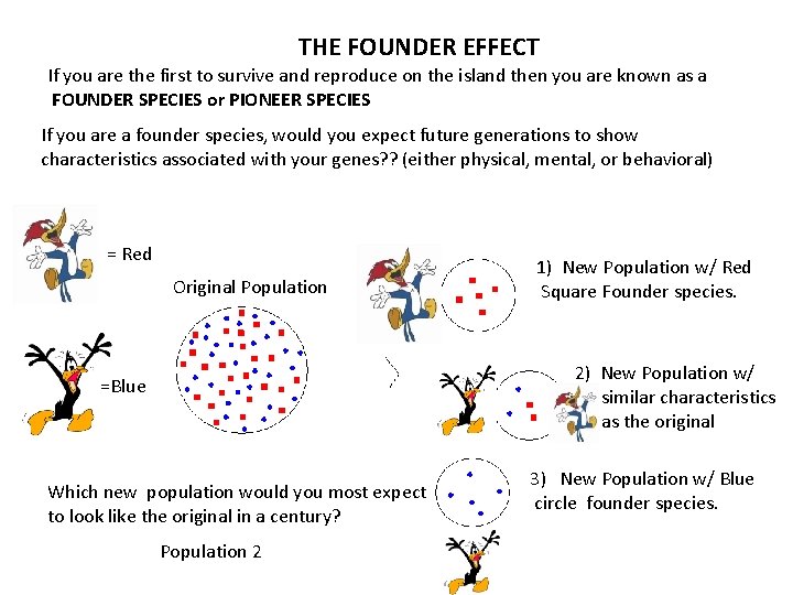 THE FOUNDER EFFECT If you are the first to survive and reproduce on the