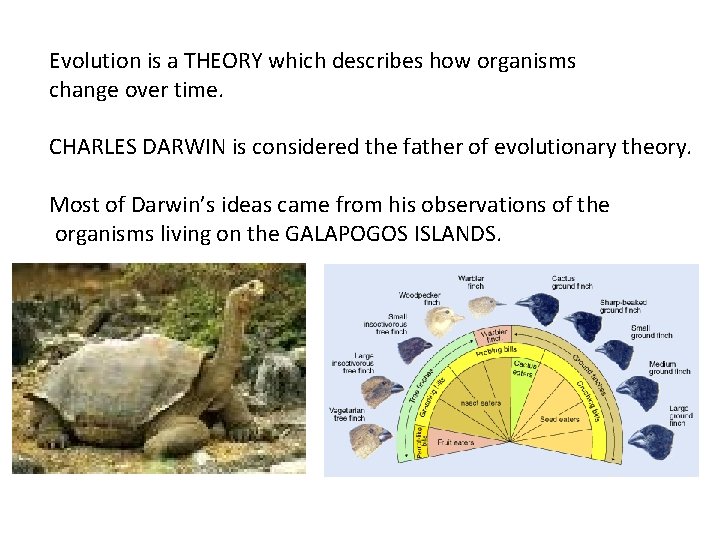 Evolution is a THEORY which describes how organisms change over time. CHARLES DARWIN is