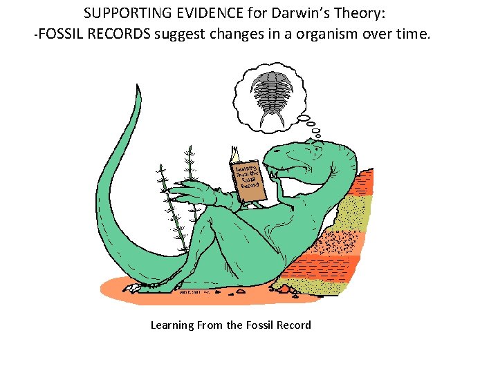 SUPPORTING EVIDENCE for Darwin’s Theory: -FOSSIL RECORDS suggest changes in a organism over time.