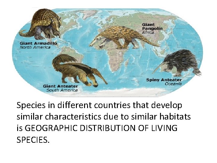 Species in different countries that develop similar characteristics due to similar habitats is GEOGRAPHIC