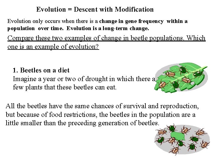 Evolution = Descent with Modification Evolution only occurs when there is a change in