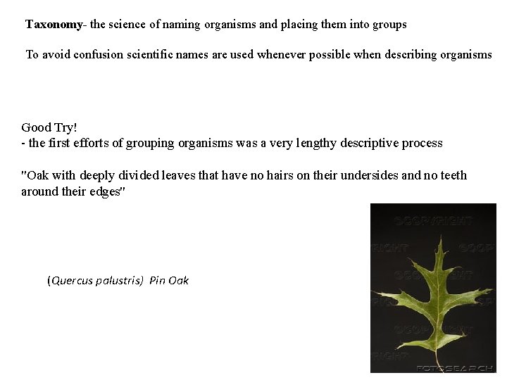 Taxonomy- the science of naming organisms and placing them into groups To avoid confusion