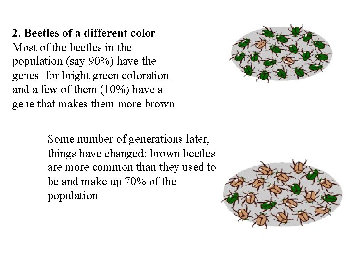 2. Beetles of a different color Most of the beetles in the population (say