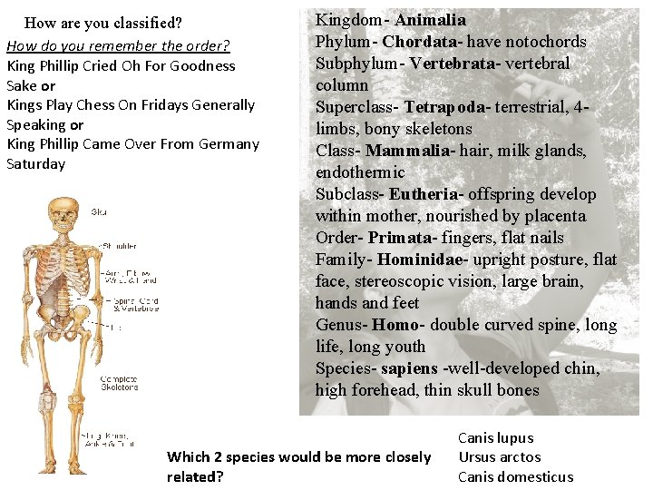 How are you classified? How do you remember the order? King Phillip Cried Oh