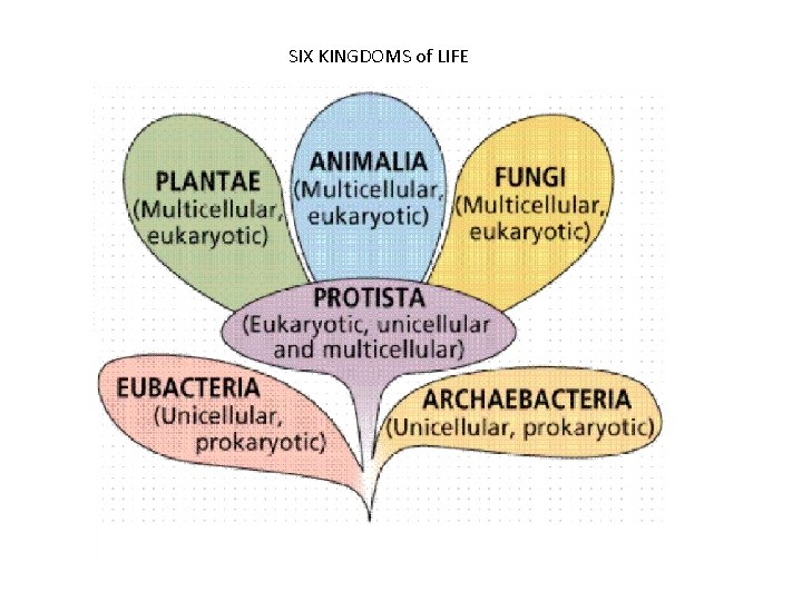 SIX KINGDOMS of LIFE 