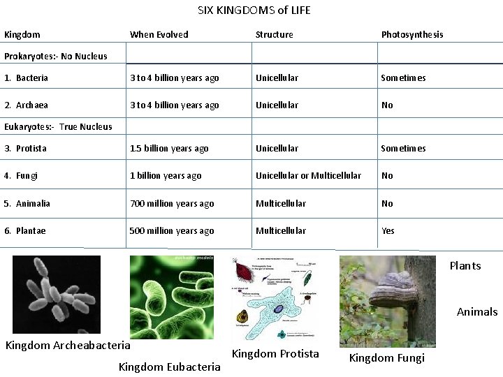 SIX KINGDOMS of LIFE Kingdom When Evolved Structure Photosynthesis 1. Bacteria 3 to 4