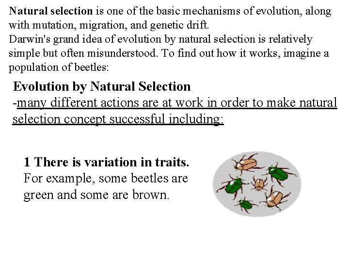 Natural selection is one of the basic mechanisms of evolution, along with mutation, migration,