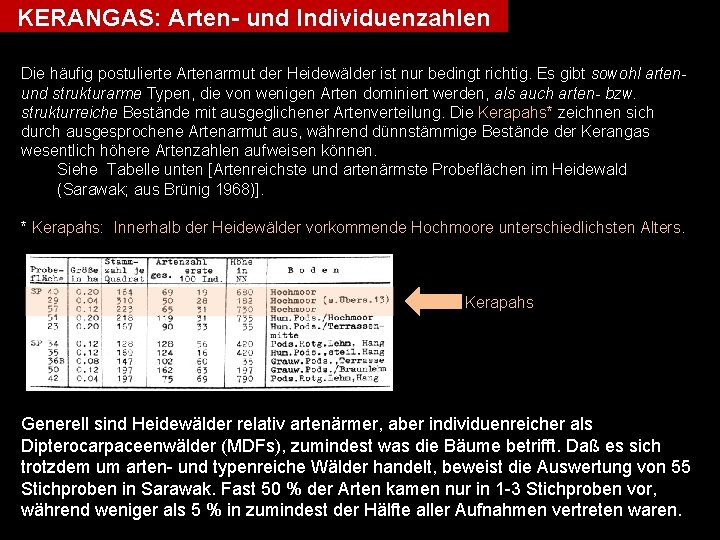 KERANGAS: Arten- und Individuenzahlen Die häufig postulierte Artenarmut der Heidewälder ist nur bedingt richtig.