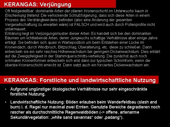 KERANGAS: Verjüngung Oft festgestellbar: dominante Arten der oberen Kronenschicht im Unterwuchs kaum in Erscheinung