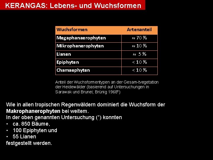 KERANGAS: Lebens- und Wuchsformen Artenanteil Megaphanaerophyten 70 % Mikrophanerophyten 10 % Lianen 5% Epiphyten