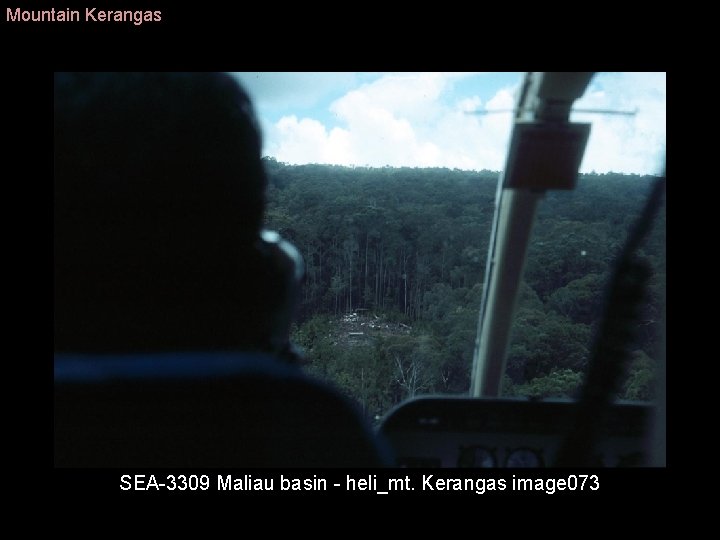 Mountain Kerangas SEA 3309 Maliau basin heli_mt. Kerangas image 073 