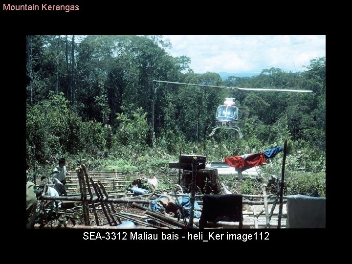 Mountain Kerangas SEA 3312 Maliau bais heli_Ker image 112 