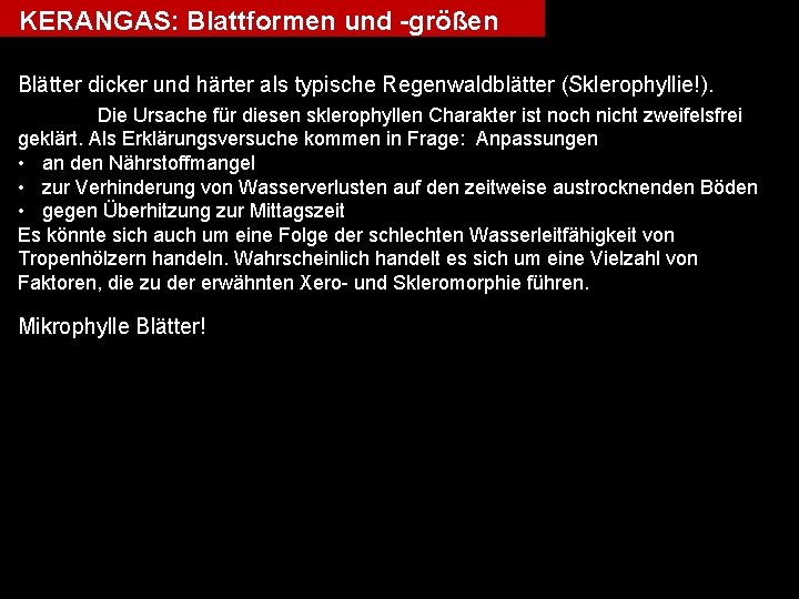 KERANGAS: Blattformen und -größen Blätter dicker und härter als typische Regenwaldblätter (Sklerophyllie!). Die Ursache