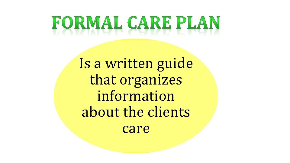 Is a written guide that organizes information about the clients care 