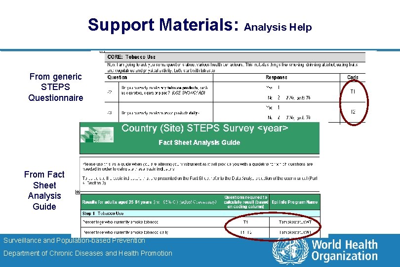 Support Materials: Analysis Help From generic STEPS Questionnaire From Fact Sheet From. Analysis Fact