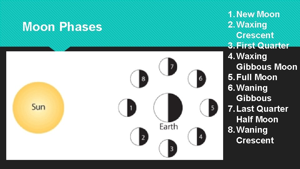 Moon Phases 1. New Moon 2. Waxing Crescent 3. First Quarter 4. Waxing Gibbous