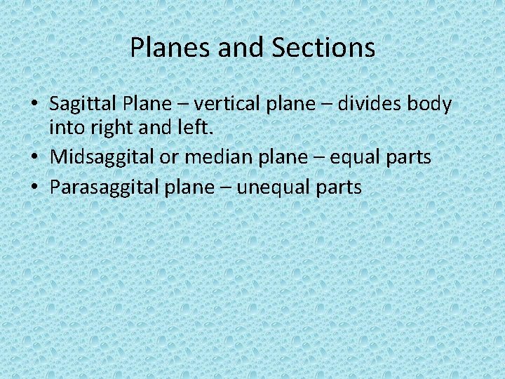 Planes and Sections • Sagittal Plane – vertical plane – divides body into right