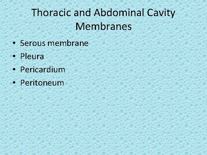 Thoracic and Abdominal Cavity Membranes • • Serous membrane Pleura Pericardium Peritoneum 