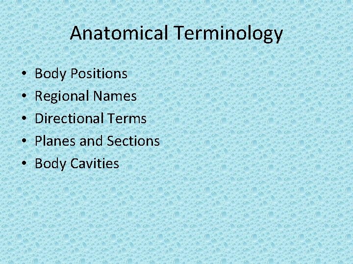 Anatomical Terminology • • • Body Positions Regional Names Directional Terms Planes and Sections