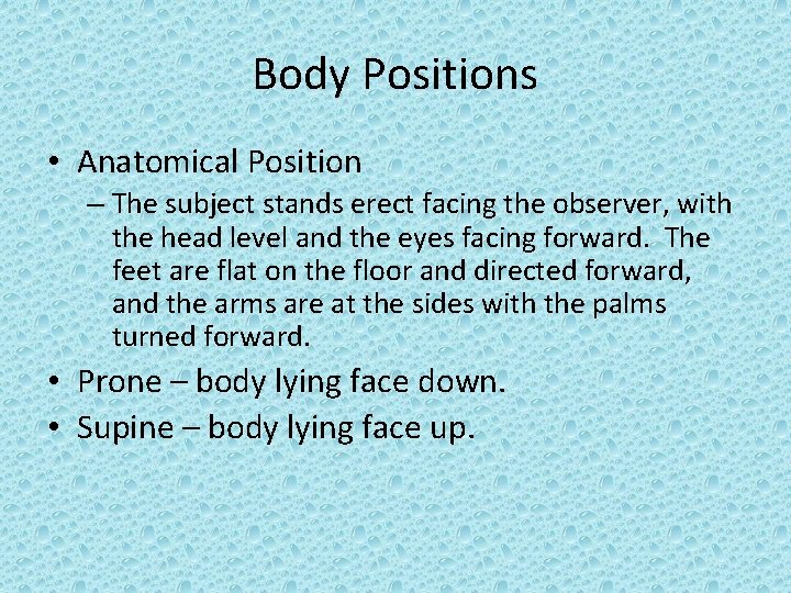 Body Positions • Anatomical Position – The subject stands erect facing the observer, with