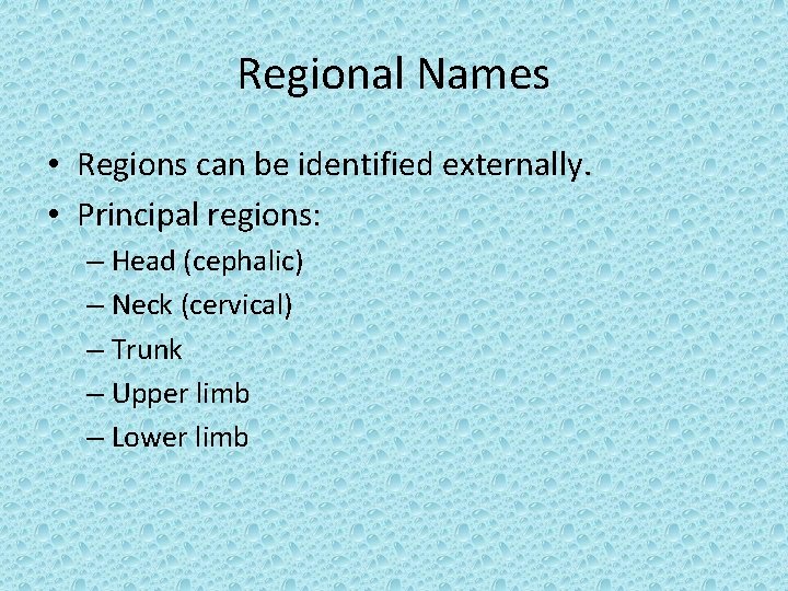 Regional Names • Regions can be identified externally. • Principal regions: – Head (cephalic)