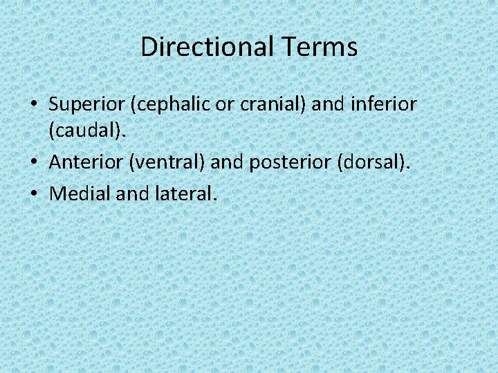 Directional Terms • Superior (cephalic or cranial) and inferior (caudal). • Anterior (ventral) and
