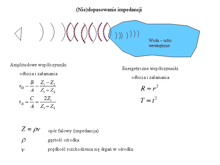 (Nie)dopasowanie impedancji Woda – ucho wewnętrzne Amplitudowe współczynniki odbicia i załamania Energetyczne współczynniki odbicia