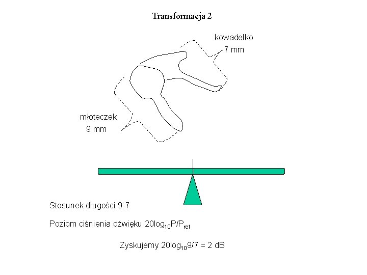 Transformacja 2 kowadełko 7 mm młoteczek 9 mm Stosunek długości 9: 7 Poziom ciśnienia