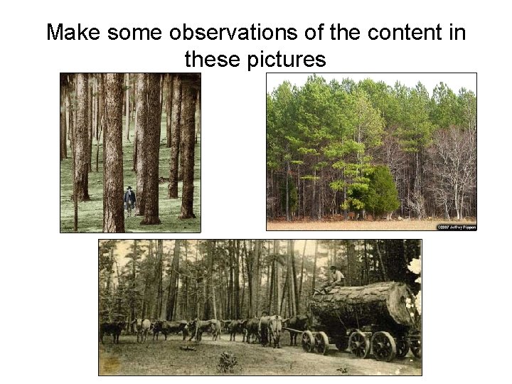 Make some observations of the content in these pictures 