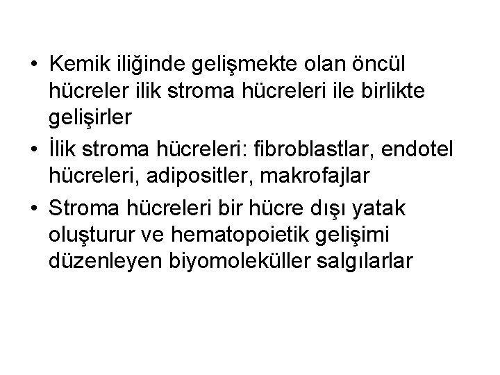  • Kemik iliğinde gelişmekte olan öncül hücreler ilik stroma hücreleri ile birlikte gelişirler