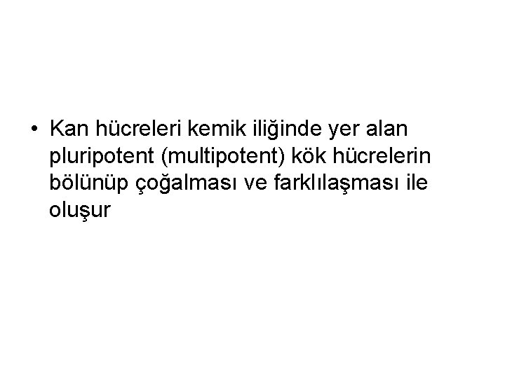  • Kan hücreleri kemik iliğinde yer alan pluripotent (multipotent) kök hücrelerin bölünüp çoğalması