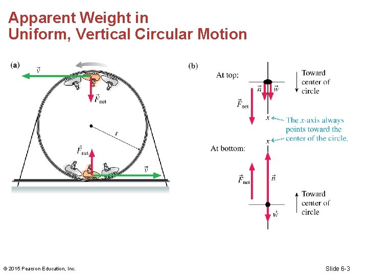 Apparent Weight in Uniform, Vertical Circular Motion © 2015 Pearson Education, Inc. Slide 6