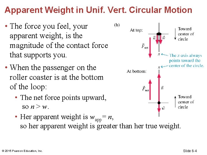 Apparent Weight in Unif. Vert. Circular Motion • The force you feel, your apparent