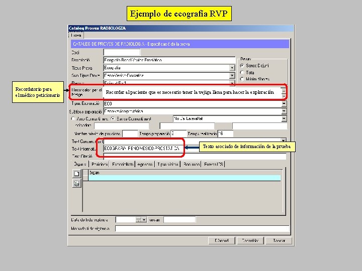 Ejemplo de ecografía RVP Recordatorio para el médico peticionario Recordar al paciente que es