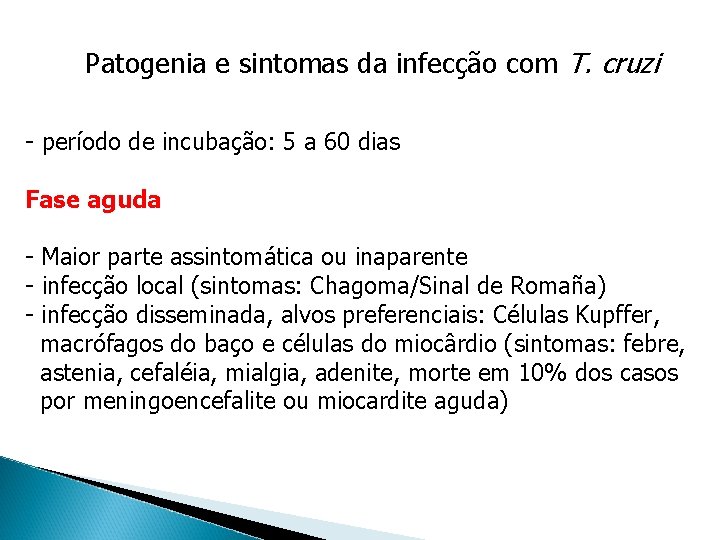 Patogenia e sintomas da infecção com T. cruzi - período de incubação: 5 a Patogenia e sintomas da infecção com T. cruzi - período de incubação: 5 a