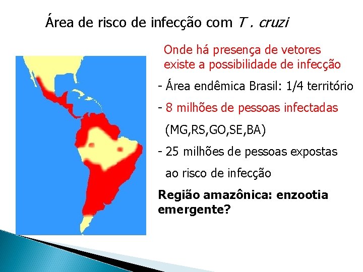 Área de risco de infecção com T. cruzi Onde há presença de vetores existe