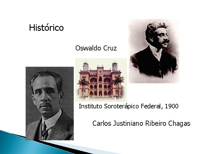 Histórico Oswaldo Cruz Instituto Soroterápico Federal, 1900 Carlos Justiniano Ribeiro Chagas 
