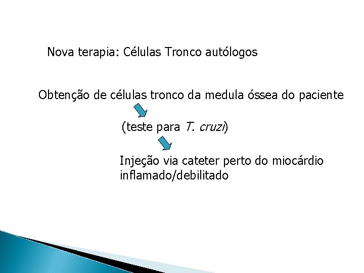 Nova terapia: Células Tronco autólogos Obtenção de células tronco da medula óssea do paciente Nova terapia: Células Tronco autólogos Obtenção de células tronco da medula óssea do paciente