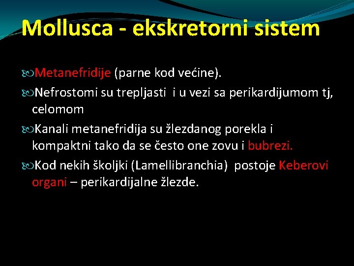 Mollusca - ekskretorni sistem Metanefridije (parne kod većine). Nefrostomi su trepljasti i u vezi Mollusca - ekskretorni sistem Metanefridije (parne kod većine). Nefrostomi su trepljasti i u vezi