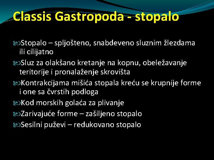Classis Gastropoda - stopalo Stopalo – spljošteno, snabdeveno sluznim žlezdama ili cilijatno Sluz za Classis Gastropoda - stopalo Stopalo – spljošteno, snabdeveno sluznim žlezdama ili cilijatno Sluz za