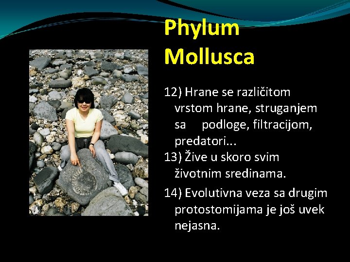 Phylum Mollusca 12) Hrane se različitom vrstom hrane, struganjem sa podloge, filtracijom, predatori. . Phylum Mollusca 12) Hrane se različitom vrstom hrane, struganjem sa podloge, filtracijom, predatori. .