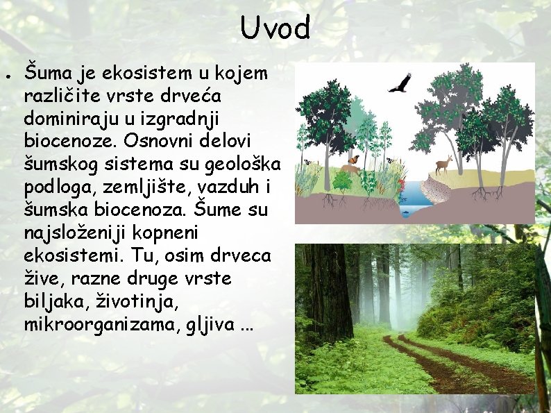 Uvod ● Šuma je ekosistem u kojem različite vrste drveća dominiraju u izgradnji biocenoze. Uvod ● Šuma je ekosistem u kojem različite vrste drveća dominiraju u izgradnji biocenoze.