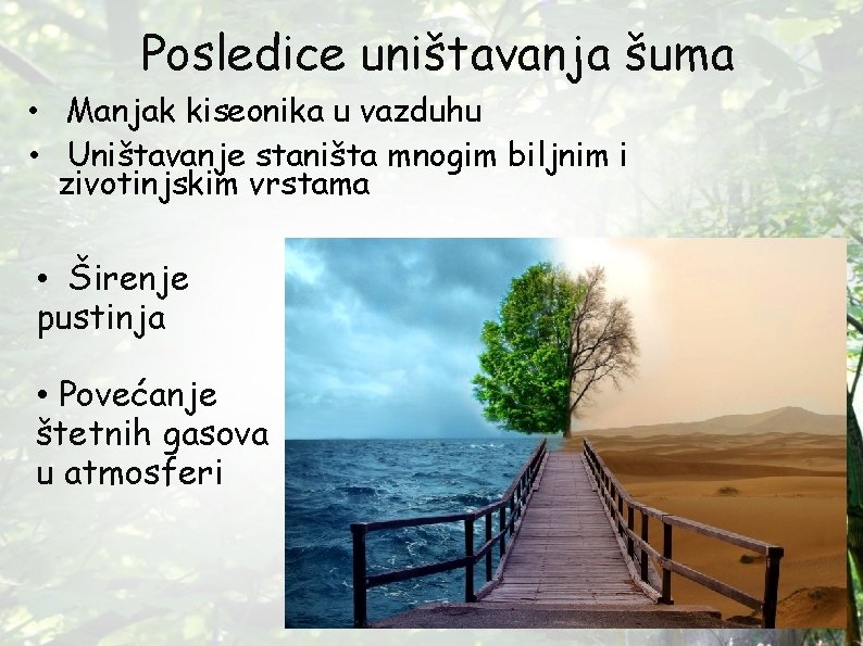 Posledice uništavanja šuma • Manjak kiseonika u vazduhu • Uništavanje staništa mnogim biljnim i