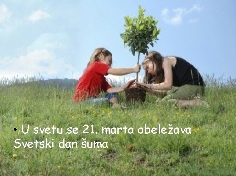  • U svetu se 21. marta obeležava Svetski dan šuma 