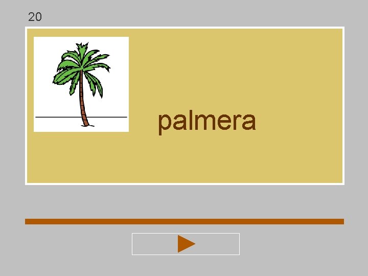 20 palmera 