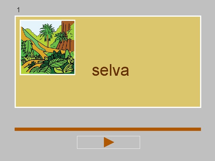 1 selva 